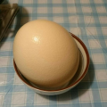 ダチョウの卵の味って・・・(*_*)