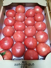 トマト と 寒天 画像1