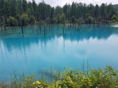 青い池と滝 画像1