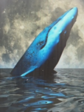 『　青いクジラ！？　』 画像2