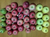 信州りんご と キノコと アリオ上田 画像2