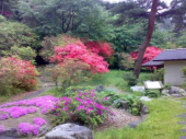 国立公園の風景で和む♪ 画像2