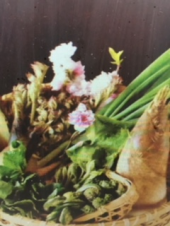 『 春の山菜三昧！』 画像1