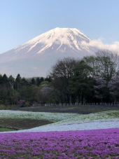 ぐるり富士山 画像2