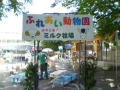 ヘイポーの1日