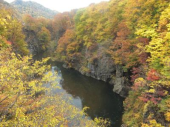水曜／定山渓の紅葉 画像1