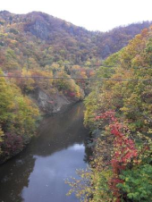 水曜／定山渓の紅葉 画像3