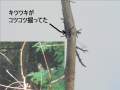 たけやぶやけた