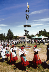 スウェーデンの夏至祭 画像1