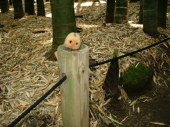 Ωさんの画像1
