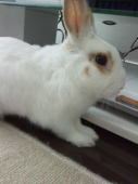 yuzutoroさんの画像1