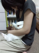 yuzutoroさんの画像2