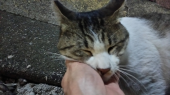 スイング14さんの画像2