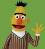 Bert.t