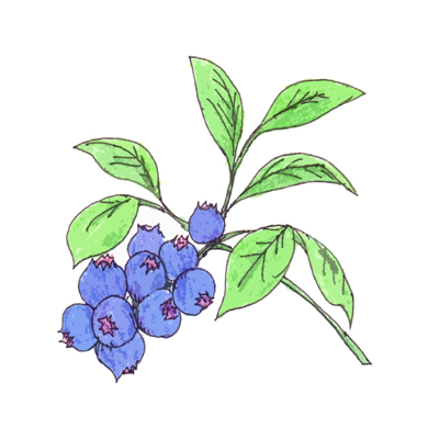 キーワード 