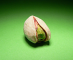 Group Pistachio