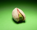 Group Pistachio
