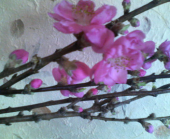 これだ～☆ 画像1