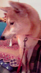 ☆なにが一番幸せって♪ 画像1