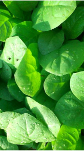 解かりますか? 画像1