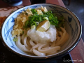 ついに売れちゃったね