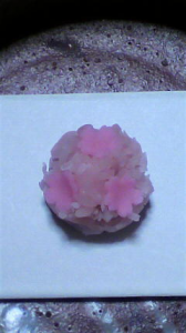 開花はまだですが・・・ 画像1