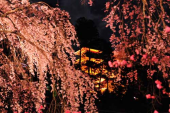 目指すは。。。 画像2