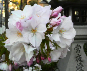 晴れ 画像2