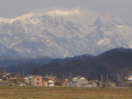 新潟出張