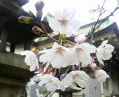 曇り 画像2