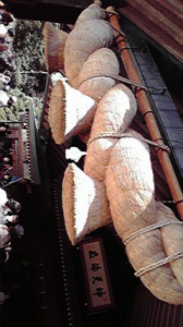 島根1日目 画像2