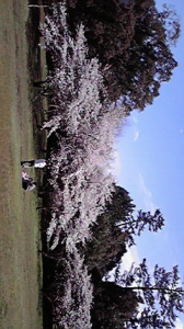 島根1日目 画像3