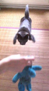 2日目 画像1