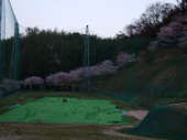 うっとり 画像1