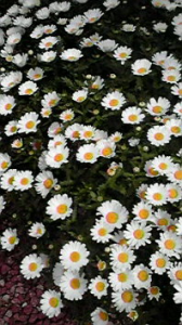 ☆帰宅26時…(￣▽￣; ) 画像1