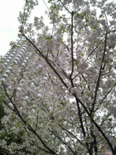 ★休日出勤★ 画像1