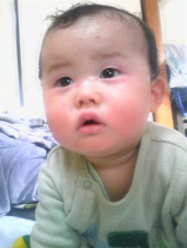 ぶーふーうー 画像1