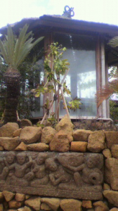 ふと、思う 画像1