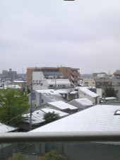 41年振り、、、 画像1