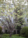 やっちやった、大失敗