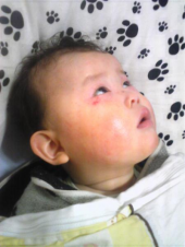 さくらヴぇｒ２ 画像1