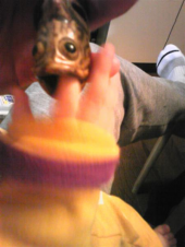 ぶばっふぉぉーっっつ！！ 画像1