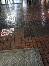 太陽と月 画像1