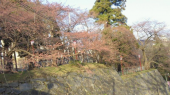 通院日 画像2