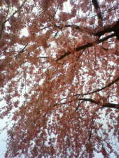 ととのいました！・・・♪ 画像2