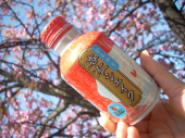 花見　４週目 画像2