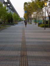 昭和記念公園 画像1