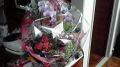 Happy Mother’s Day
