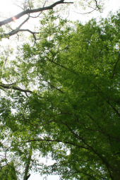 GWも終わりか 画像2