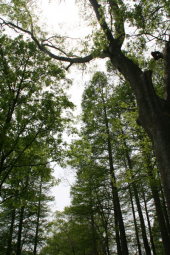 GWも終わりか 画像3